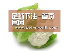 产品名称九