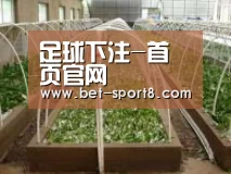 环境展示五