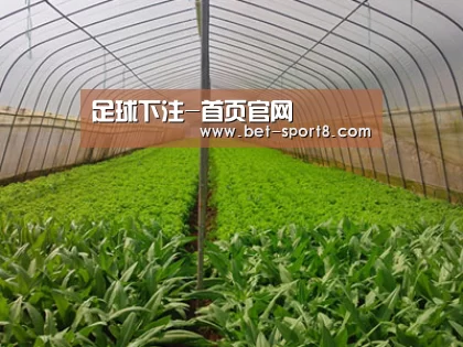 种植基地四