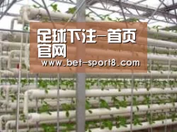 环境展示六